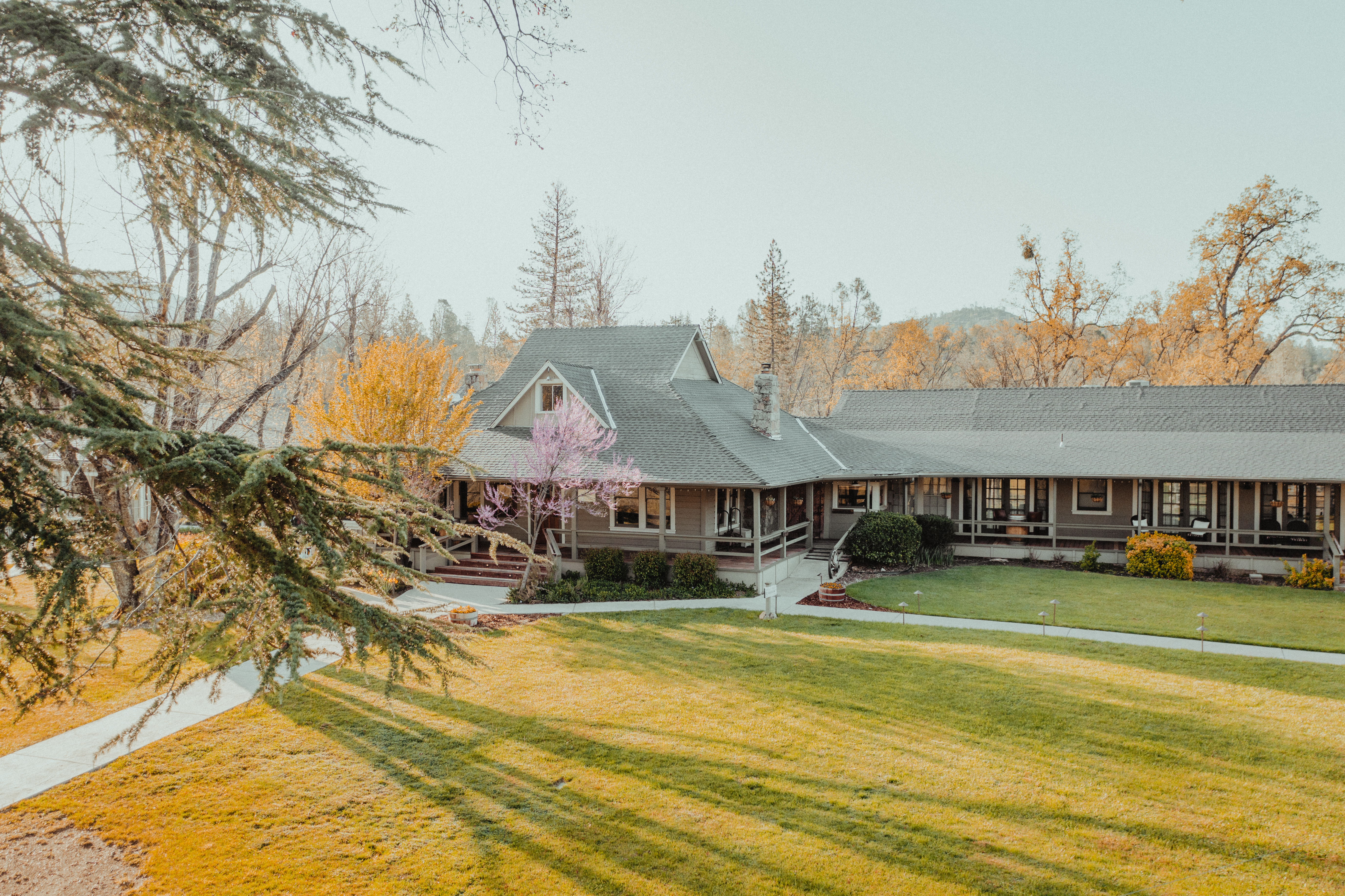 An elevated view of the Sierra Sky Ranch ranch house and its front lawn among the foothill trees.