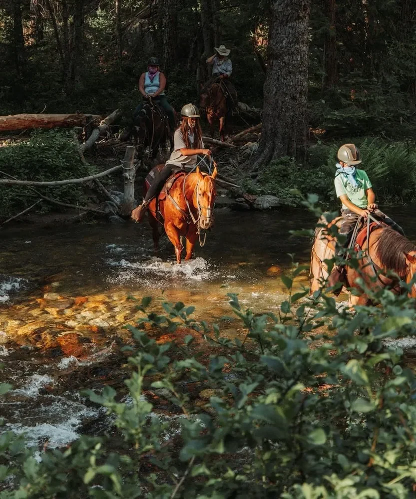 Horseback riders crossing a creek near Yosemite in the Sierra Nevada foothills