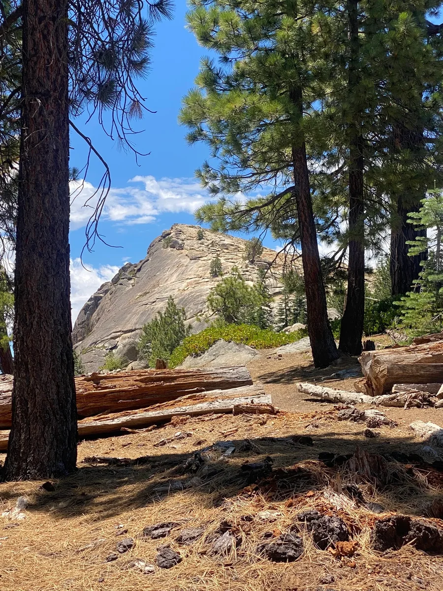 Fresno Dome, midday in Sierra National Forest.