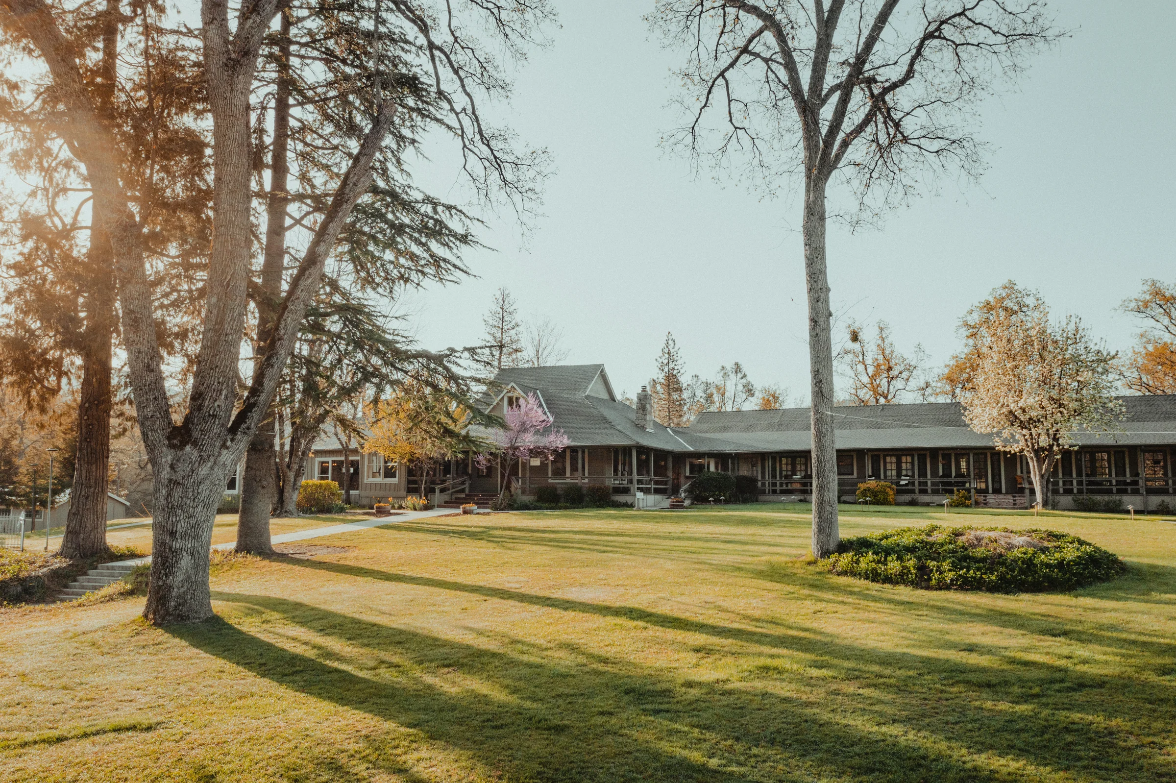 Aerial view of Sierra Sky Ranch surrounded by Sierra pines and the expansive Great Lawn in Oakhurst, California.