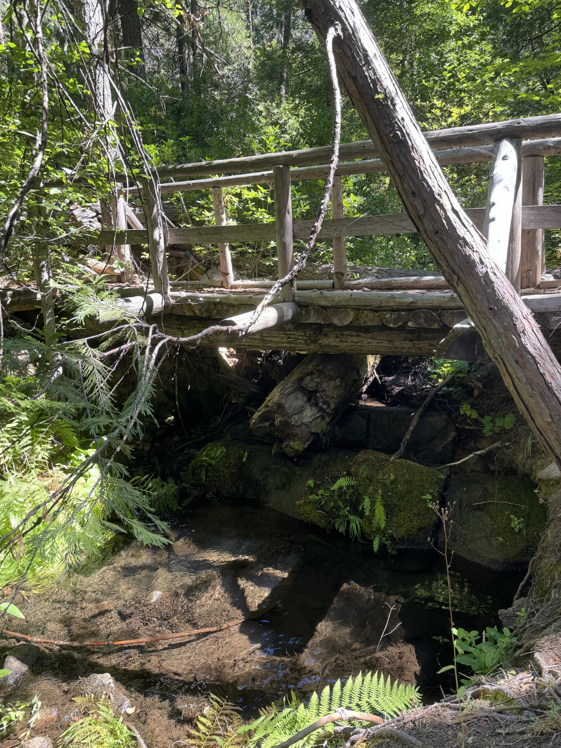 Rustic wooden footbridge crossing a shaded forest creek surrounded by ferns and moss-covered rocks