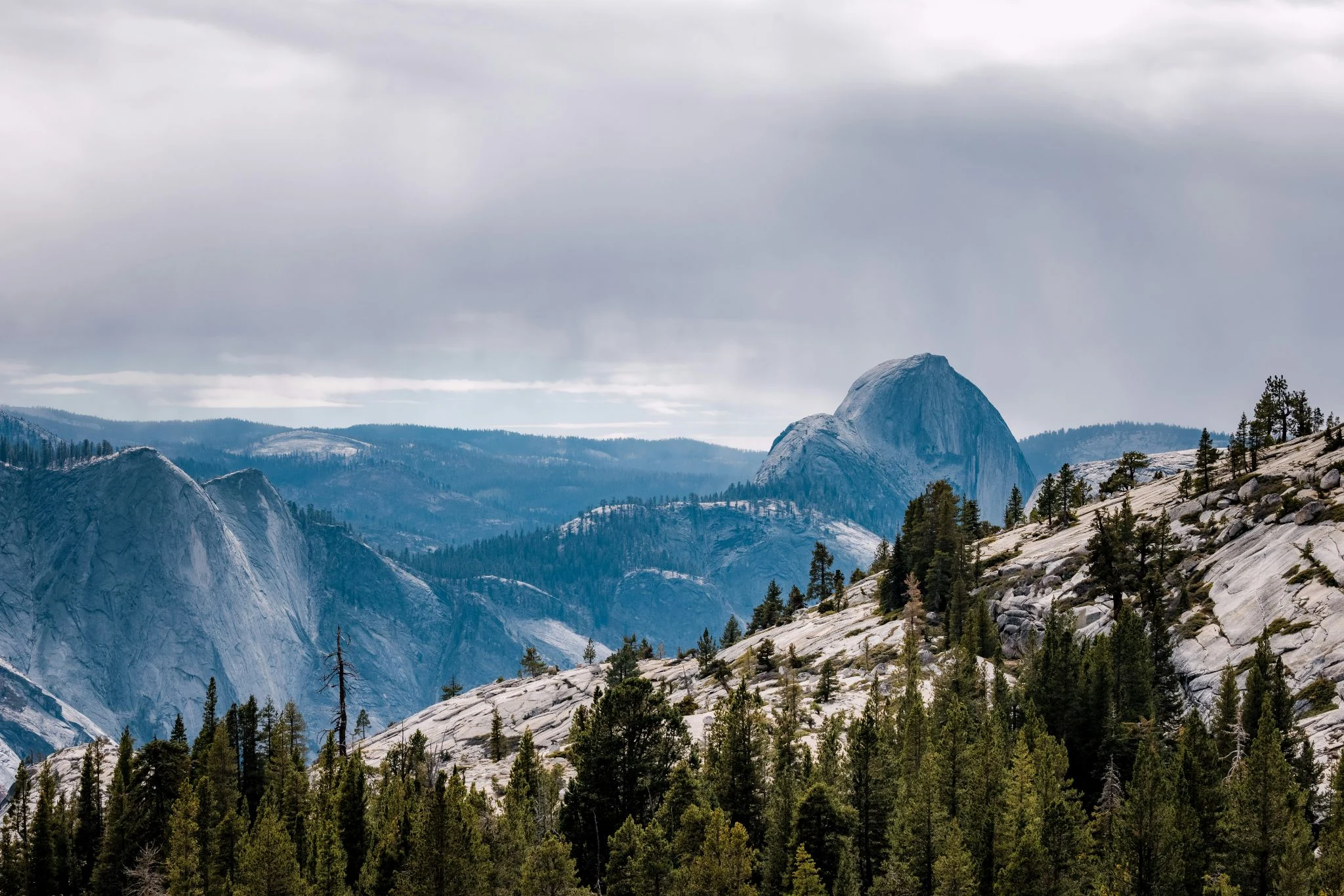 Panoramic view across Yosemite high country along Tioga Road.